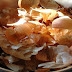 Don’t Throw That Onion Skin Away Yet! Know What Other Health Benefits You Can Get From It